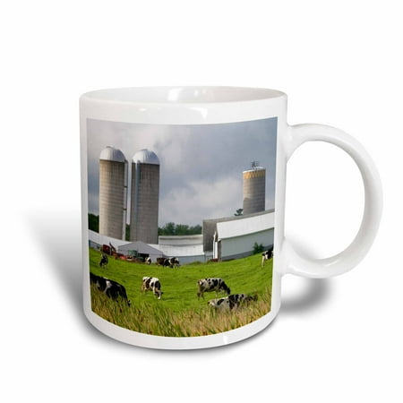 3dRose Dairy cow farm, Taylor County, Wisconsin, USA - US50 DFR0048 - David R. Frazier, Ceramic Mug, (Best Dairy Cow For Small Farm)