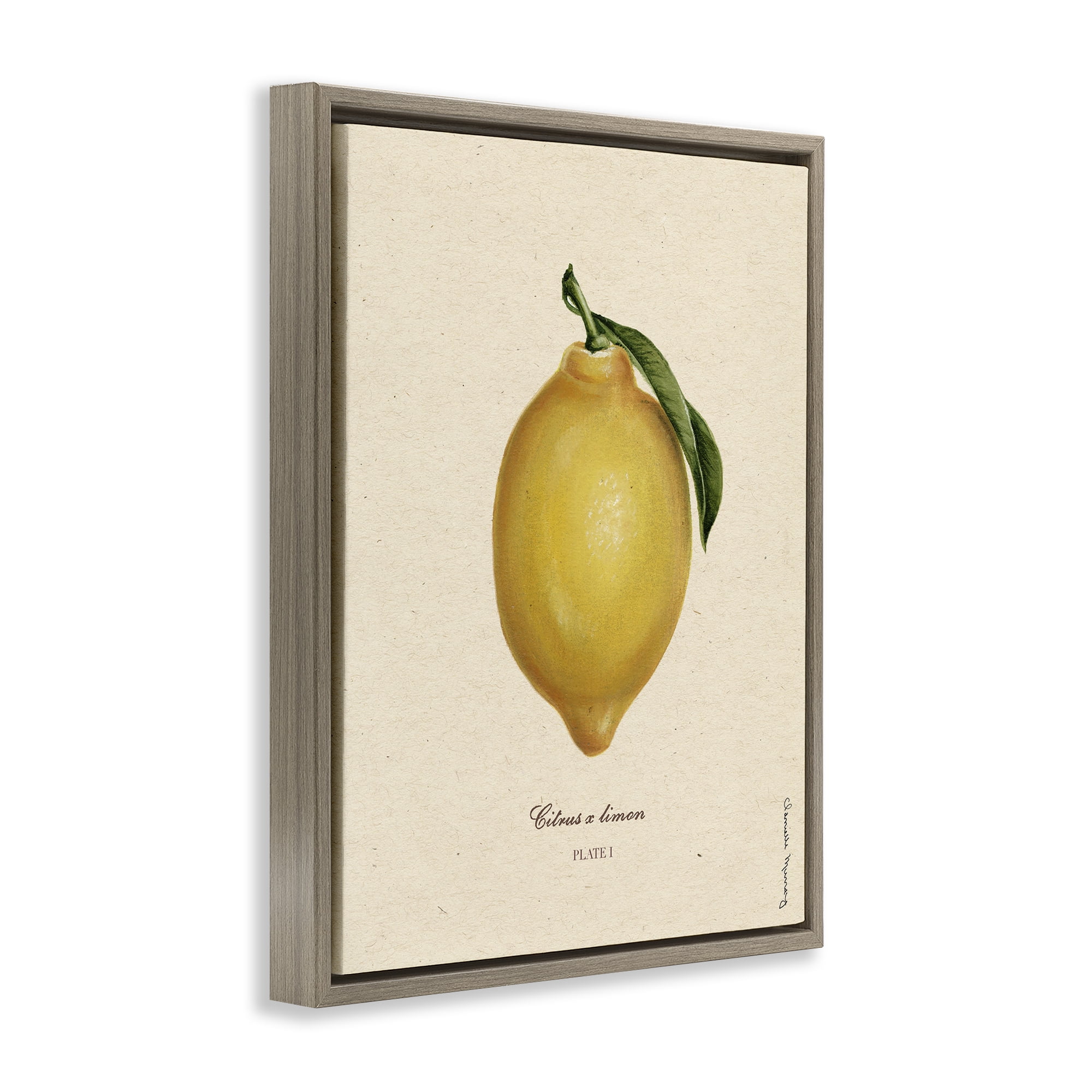 Stupell Industries Lemon Fruit Portrait Brown Framed Floater Canvas Wall Art, design by Danielle Murray