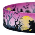 thumbnail image 4 of Country Brook Design® 5/8 inch Graveyard Gunmetal Dog Leash - 4 Foot, 4 of 4