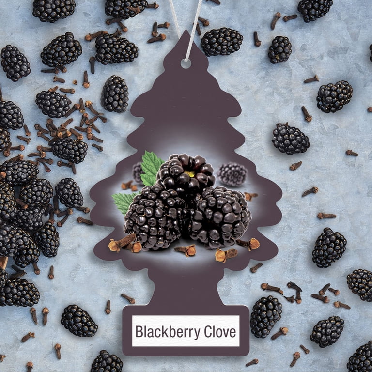 LITTLE TREES Blackberry Clove Air Freshener 3-Pack Long-Lasting