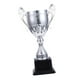 thumbnail image 3 of Trofeos de premio Trofeo pequeño para niños Copa de trofeo de premio para fútbol Fútbol Béisbol Plata S, 3 of 9
