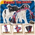 thumbnail image 4 of Juguete para perros Forfon Heavy Duty para perros grandes que mastican agresivamente, 4 of 7