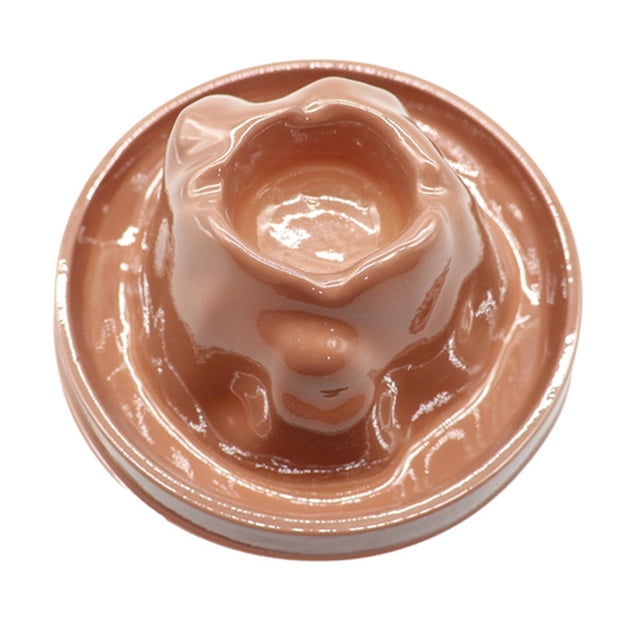Tachiuwa es Model Shell Toy es Experiments Model for Child Educational Gift