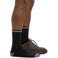 thumbnail image 4 of Darn Tough Men's Hiker Micro Crew Cushion Sock, 4 of 8