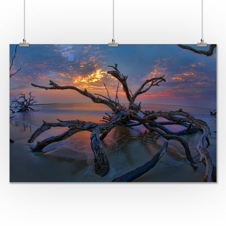 driftwood sunset lantern press photography 24x36 giclee gallery