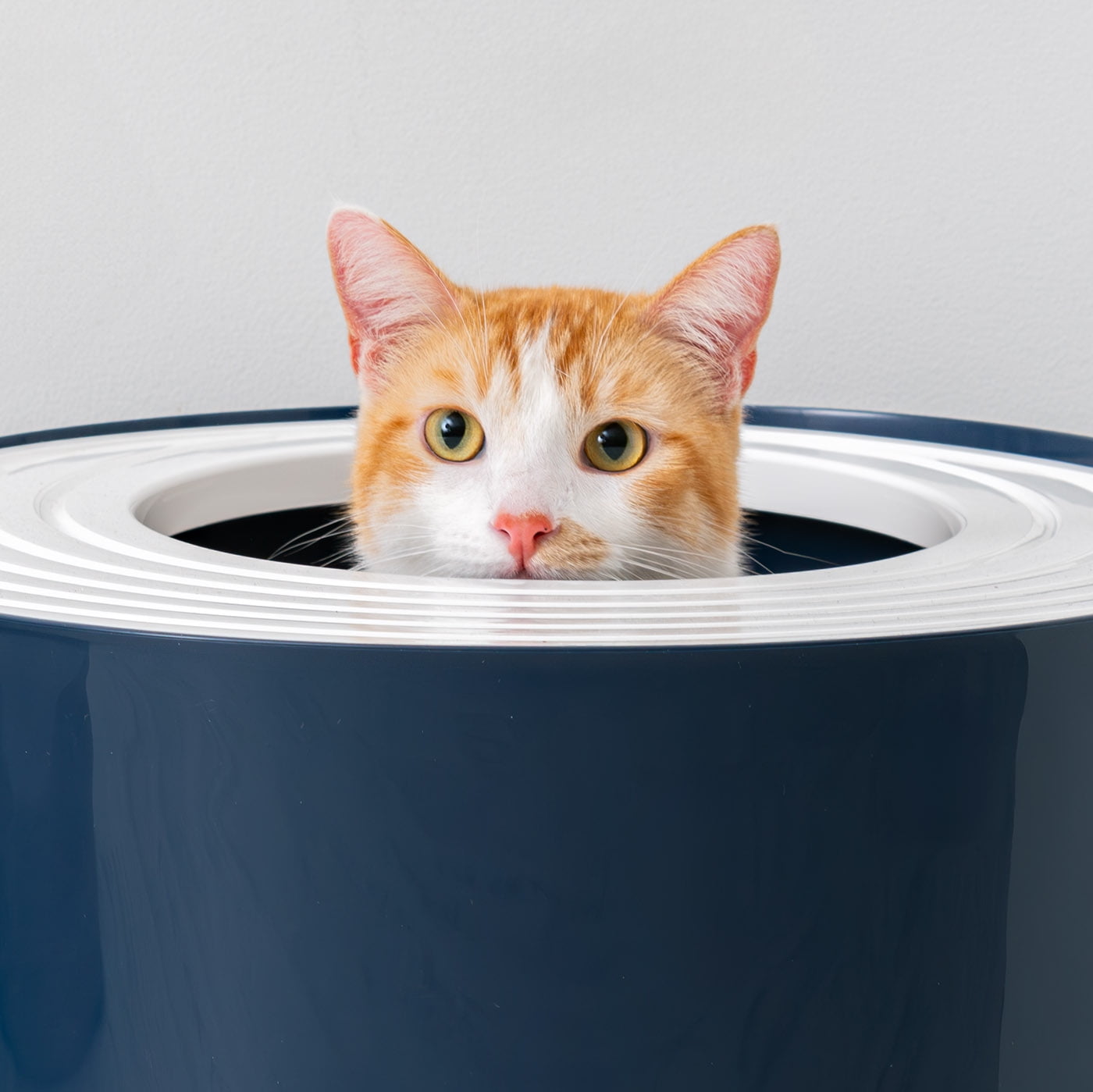 IRIS Large Stylish Round Top Entry Cat Litter Box with Scoop, Curved Kitty Litter Pan with Litter Particle Catching