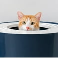 thumbnail image 6 of IRIS Large Stylish Round Top Entry Cat Litter Box with Scoop, Curved Kitty Litter Pan with Litter Particle Catching, 6 of 11