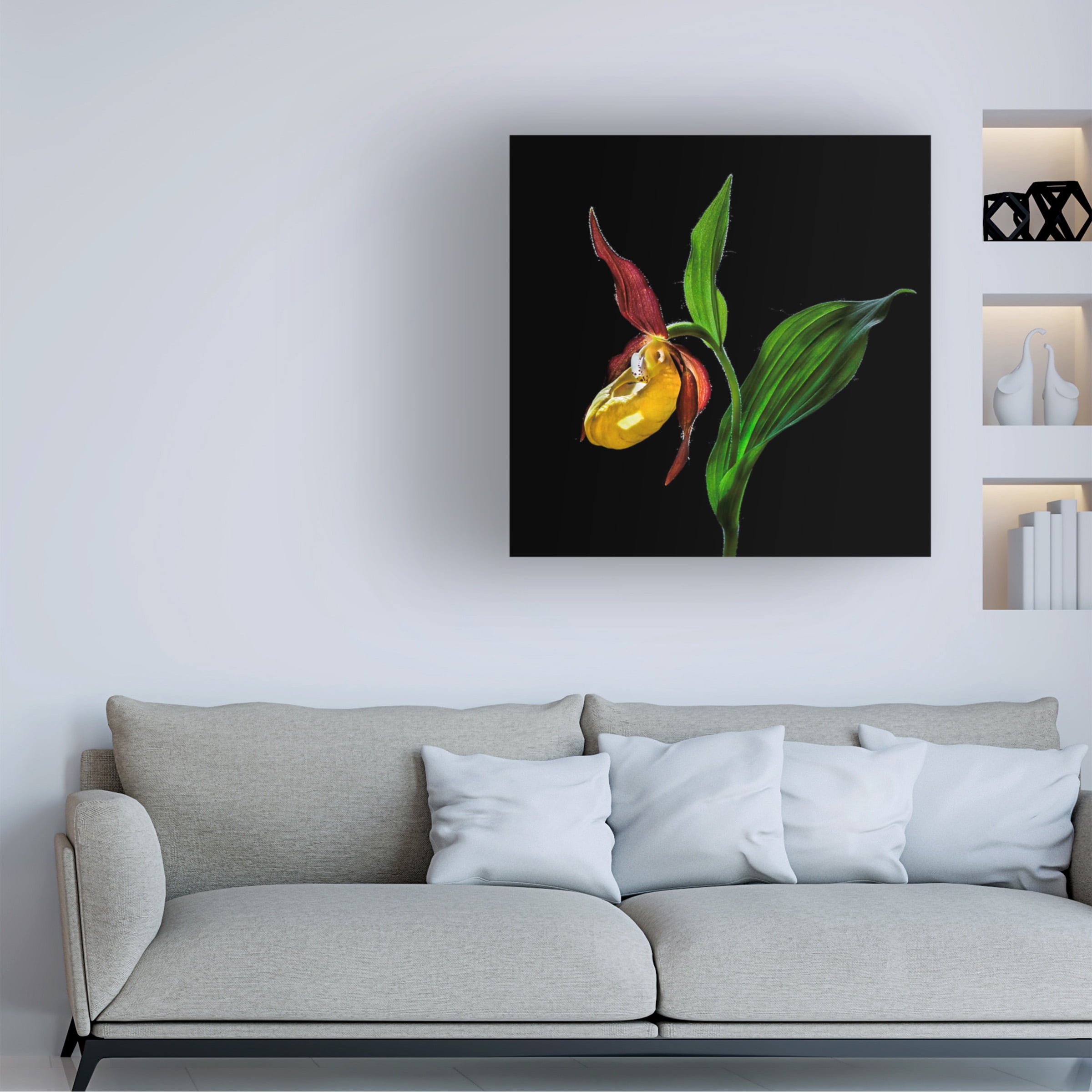 Nora De Angelli 'The Ladys Slipper Orchid' Canvas Art