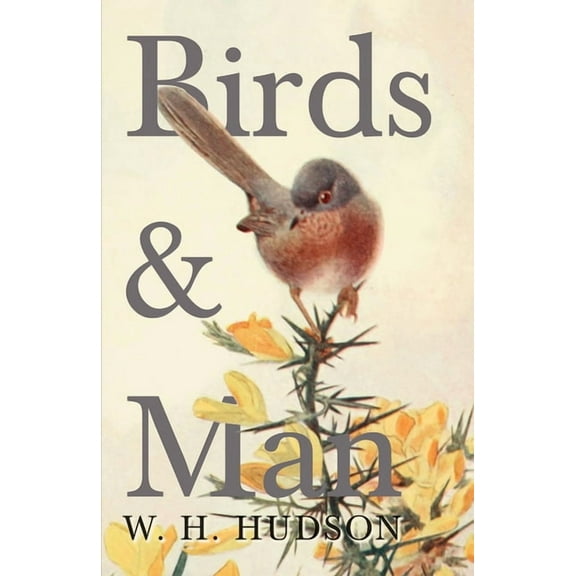Birds and Man, (Paperback)