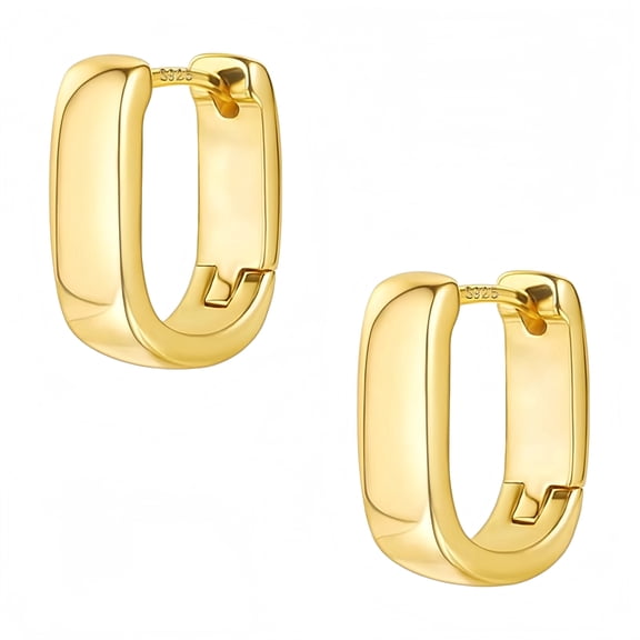 Small Chunky Silver Earrings for Women Trendy,Gold Plated Small Hoop Earrings Hypoallergenic Earrings Small Thick Huggie Hoops Earrings for Jewelry Gifts