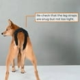 thumbnail image 6 of Dog Back Support Brace for and Spinal Care in Small Breeds Including and Corgis, 6 of 7