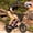 Pink, variant on ESKUTE Electric Bike for Teens & Adults, 750W Motor (1500W Peak), 28mph Speed, 48V 13Ah Battery, 16"x4.0" Fat Tires, 7-Speed E-Bike with Dual Suspension, Black