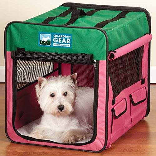small collapsible dog crate