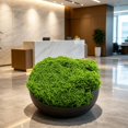 thumbnail image 4 of Moss for Potted Plants, Artificial Green Moss for Crafts Moss Reindeer Moss, Lifelike for Flower Garden Lawn Decoration, Home Studio Restaurant, 4 of 4