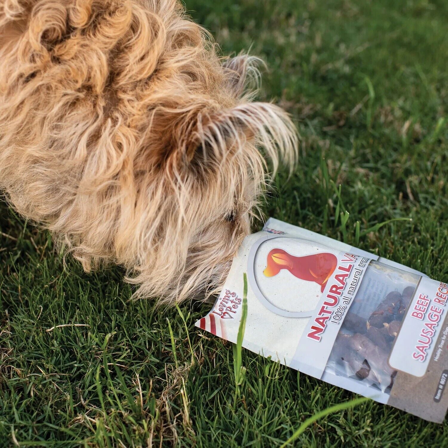 Natural Sausage Recipe Dog Treats Preservative Free Chicken or Beef (Chicken)