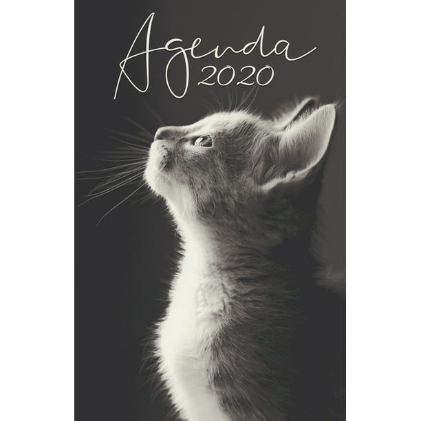 Agenda 12 Mois De Janvier A Decembre Planificateur Organisateur Semainier Photo De Chaton 2 Paperback Walmart Com Agenda 12 Mois De Janvier A Decembre Planificateur Organisateur Semainier Photo De Chaton 2 Paperback Walmart Com