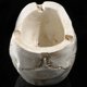 thumbnail image 4 of Resina Skull Decor Skeleton Ashtray Regalos de cumpleaños para las mujeres Regalo Assery Festival Accesorios Aprendizaje y Educación Juguetes 2 piezas Inevent HA011465-00B, 4 of 7