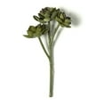 thumbnail image 2 of 9 Pack: Succulent Pick by Ashland, 2 of 2