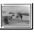 thumbnail image 2 of Historic Framed Print, [Landing pack ponies at Chemulpo for advance on Seoul], 17-7/8" x 21-7/8", 2 of 9