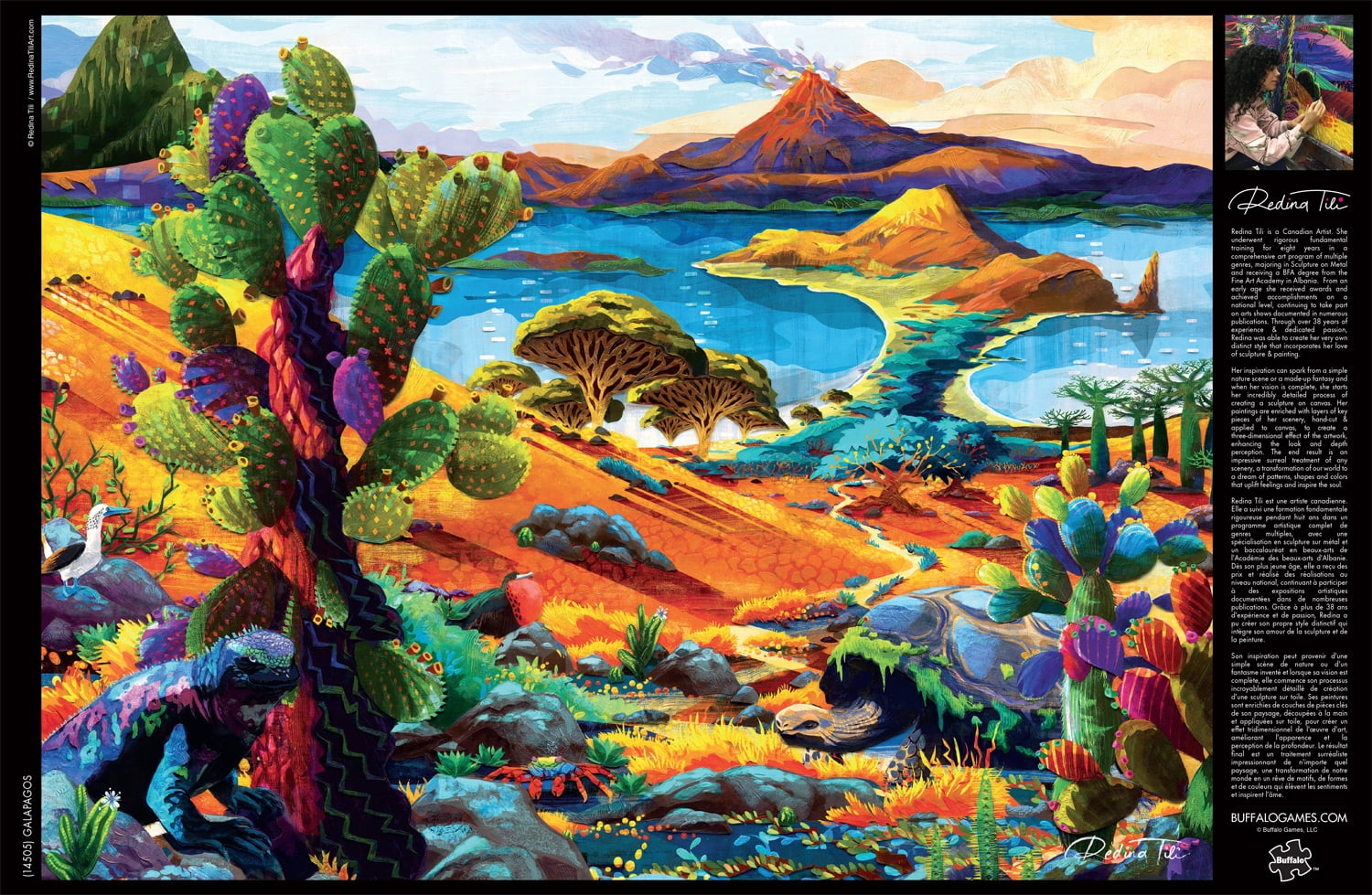 Buffalo Games Galapagos 1000-Piece Interlocking Jigsaw Puzzle