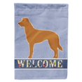 thumbnail image 1 of Carolines Treasures CK3757GF Health Health Garden Size Flag, 1 of 3