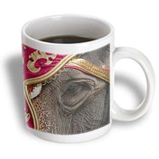 3dRose Wisconsin, Elephants at Great CIrcus Parade - US50 MDE0078 - Michael DeFreitas, Ceramic Mug, 15-ounce