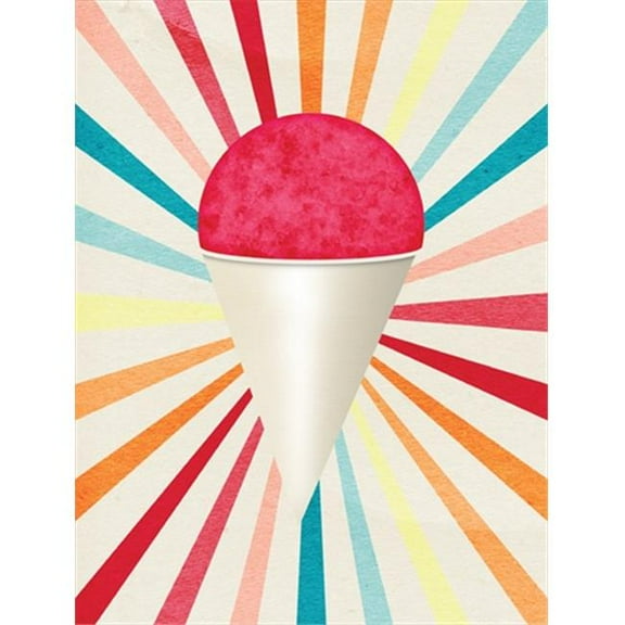 Cherry Snowball Snow Cone Flag Canvas House Size