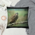 thumbnail image 2 of Orinice Bird Branch Grass Graphic Decorative Throw Pillow Cover for Home Couch Living Room Bed Sofa Pillowcase, Year-Round Use, 1PC 12x12in, 2 of 5