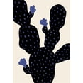 thumbnail image 2 of Artographie Studio 11x14 Black Ornate Wood Framed with Double Matting Museum Art Print Titled - Prickle Pear Cactus, 2 of 4