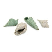 Angle View: Set of 4 Tropical Aqua and White Ceramic Glazed Sea Shell Table Top Accents
