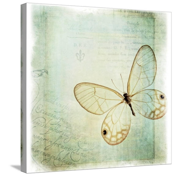 Art.com Floating Butterfly I Stretched Canvas Print Wall Art by Debra Van Swearingen, 24" x 24"