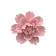 thumbnail image 1 of Naiovety Flores de cerámica tridimensional para colgar en la pared, manualidades pastorales para el hogar, adhesivo para el salón, TV, Decoración del hogar Rosado Medio, 1 of 6
