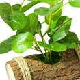 TUMALL Mini Potted Plant Artificial Potted Green Plants for Indoor