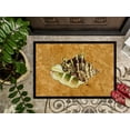 thumbnail image 3 of Carolines Treasures 8658MAT 18 x 27 in. Sea Shell Indoor Or Outdoor Mat, 3 of 4