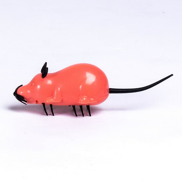 Juguete Interactivo Raton De Juguete A Cuerda Juguete Raton A
