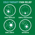Biofreeze Pain Relief Cream, Knee & Lower Back Pain Relief, Sore Muscle