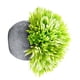 thumbnail image 3 of Planta de bola en maceta artificial Mesa para el hogar Escritorio Decoración de planta falsa Hierba de bola de plástico con maceta de papel, Verde claro Scienceny HA6791-05B, 3 of 6