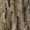 NZ028, variant on Oak Tree Bark (Seamless Texture) Sleeveless Dress Summer Women Clothes Dress for Pregnant Women Dresses