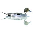thumbnail image 3 of CafePress - Pintail Duck Ceramic Mug - 15 oz Ceramic Large White Novelty Mug, 3 of 4