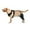 M, variant on Dog Knee Bracket, Dog Hip Knee Leg Bracket