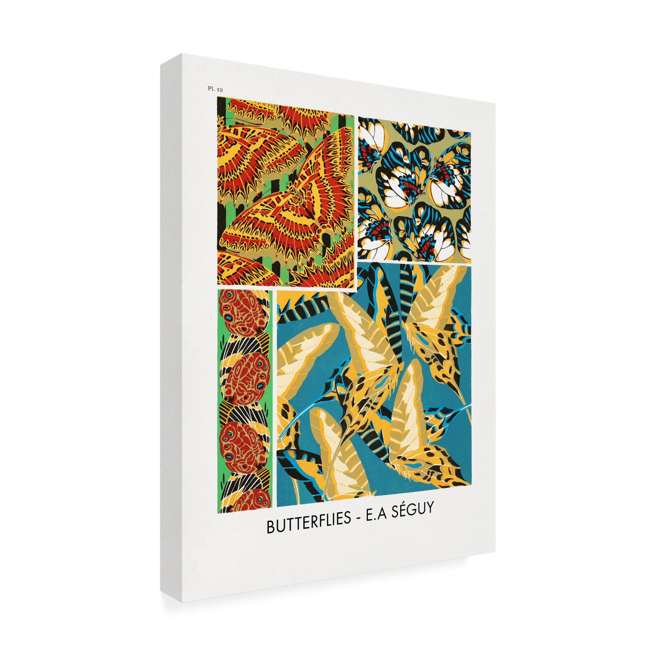 Trademark Fine Art Pictufy Butterflies 19 Canvas Wall Art