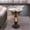 Brown, variant on 25.59" Eagle Head Accent Table with Faux Marble Top, Brown & Antique White Resin