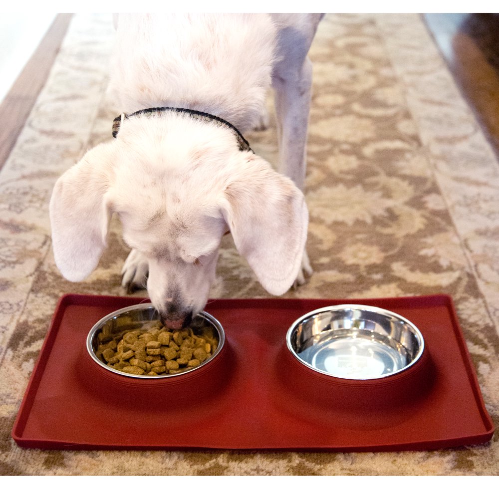 NO SPILL Dog Cat Food & Water Bowl, includes Custom Silicone Feeding