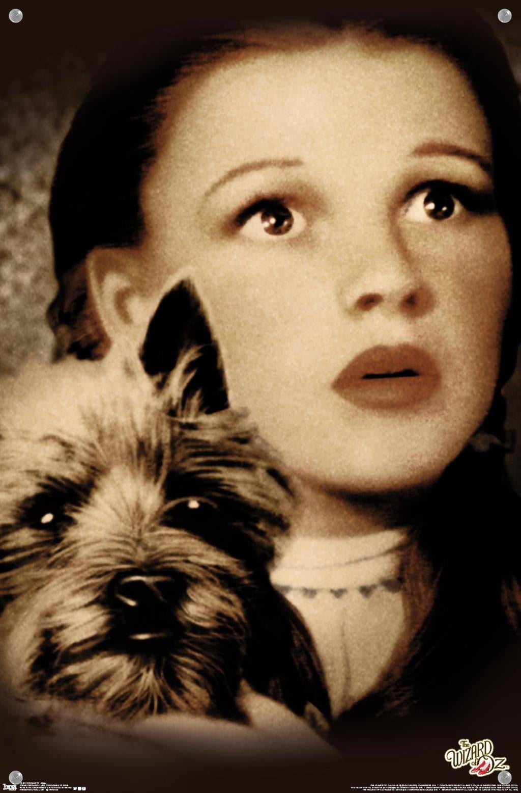 The Wizard Of Oz - Duo Wall Poster with Push Pins, 14.725" x 22.375"