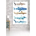 thumbnail image 3 of Shark Names, Watercolor (36x54 Giclee Gallery Art Print, Vivid Textured Wall Decor), 3 of 3