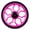 Rosy, variant on Sagargo 80mm Aluminum Alloy Folding Bike for Easy Wheels with Bearings for Brompton Purple