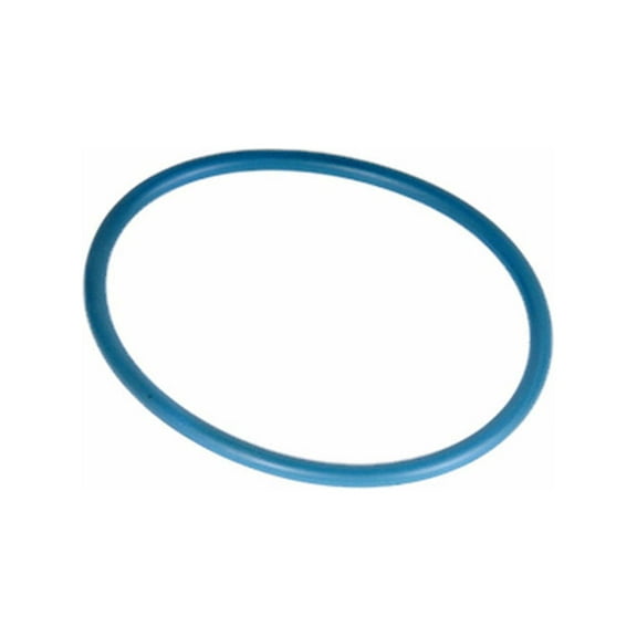 Fuel Tank Sending Unit O-Ring Fits select: 2010-2017 CHEVROLET EQUINOX LT, 2018-2022 CHEVROLET TRAVERSE LT