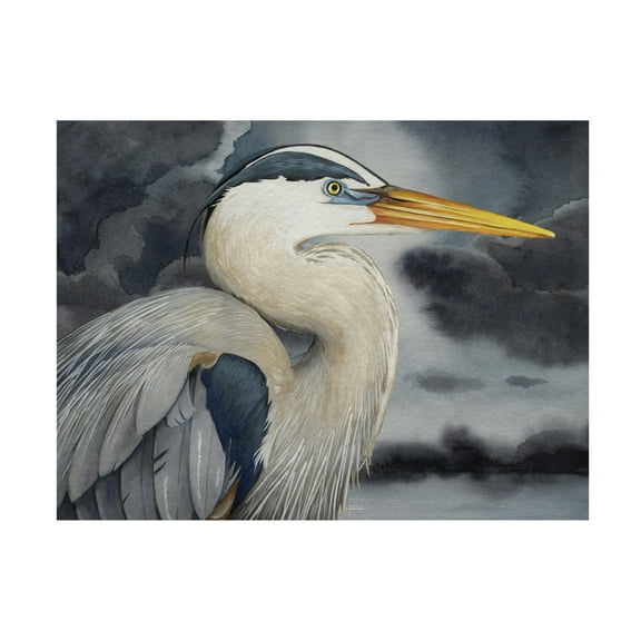 Trademark Fine Art Grace Popp  Stormy Blue I Canvas Wall Art