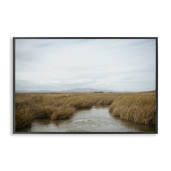 Stupell Industries Marshland Stream View Landscape & Nature Photography Black Framed Art Print Wall Art, 18 x 12