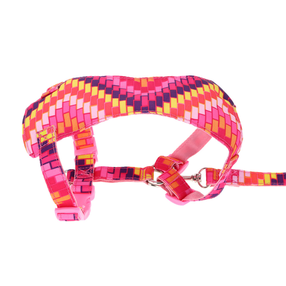 Pet Dog Harness Set Large & Medium Sized Dog Running Leash Dog Traction